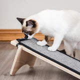 Novelty Cat Scratchers Ramp Cat Trees & Scratching Posts Pet Clever 