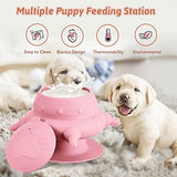 Nursing Puppy Milk Feeder Dog Bowls & Feeders Pet Clever 