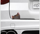 Peeking Cat Decals for Bumper Rear Window Mirror Cat Design Accessories Pet Clever 