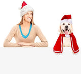 Pet Adjustable Christmas Santa Hat Cat Clothing Pet Clever 