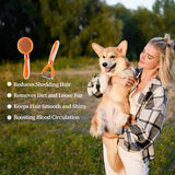 Pet Grooming Brush and Self Cleaning Slicker Brush Dog Combs Pet Clever 