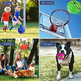 Pet Magic Ball Dog Toy Balls Interactive Herding Decompression Toys Pet Clever 