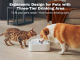 Pet Water Dispenser 3-Tired Standalone Water Bowl Indoor with Dual Pumps Quiet, Filter and Sponge Replaceable BPA-Free 2L/67 oz Dog Bowls & Feeders Pet Clever 
