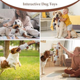 Platypus Interactive Tug of War Puppy Toys Dog Toys Pet Clever 