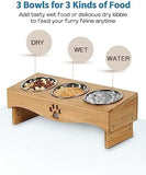 Raised Tilted Cat Bowl Stand Set with 3 Bowl Dog Bowls & Feeders Pet Clever 