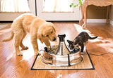 Scratch and Rust Resistant Automatic Water Dispenser for Pets- Filters Included Dog Bowls & Feeders Pet Clever 
