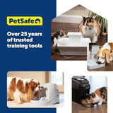 Scratch and Rust Resistant Automatic Water Dispenser for Pets- Filters Included Dog Bowls & Feeders Pet Clever 
