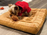 Soft Plush Small Cute and Cozy Chicken and Waffles Pet Bed Dog Beds & Blankets Pet Clever 