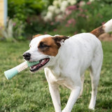 Stick Clinically Proven to Remove Plaque Toothbrush Pet Clever 