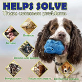 Turtle Indestructible & Tough for Aggressive Chewers Dog Toys Pet Clever 