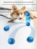 USB Rechargeable Motion-Activated Rolling Toy Toys Pet Clever 