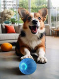 USB Rechargeable Motion-Activated Rolling Toy Toys Pet Clever 