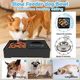 2-in-1 Elevated Slow Feeder Dog Bowls Dog Pet Clever 