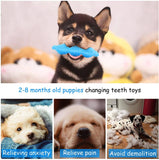 3 Pack Dog Chew Toy for Teething Dog Toys Pet Clever 