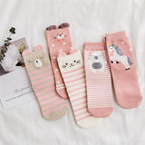 5 Pairs 3D Animal Print Socks Dog Design Accessories Pet Clever 6 