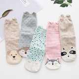 5 Pairs 3D Animal Print Socks Dog Design Accessories Pet Clever 7 