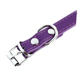 6 Colors Leather Collar For Cats Cat Care & Grooming Pet Clever 