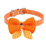 6 Colors Leather Collar For Cats Cat Care & Grooming Pet Clever S Orange 