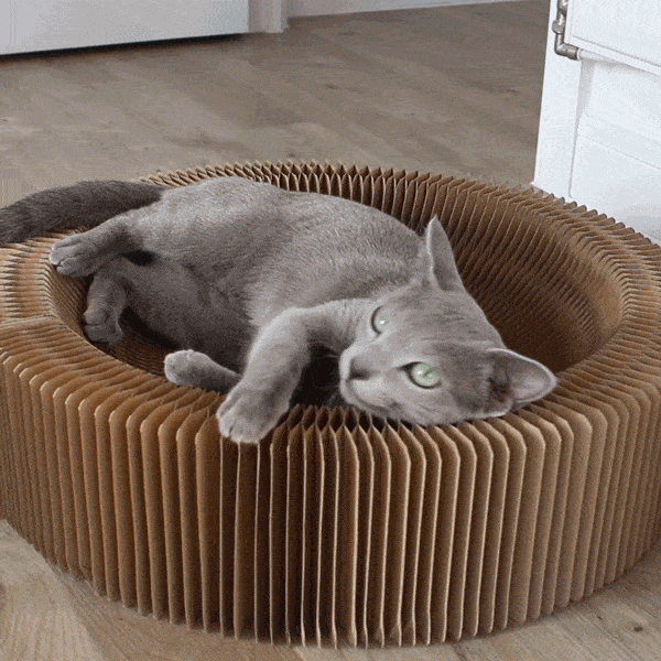A Scratcher and A Lounge For Your Lovely Cat Pet Clever