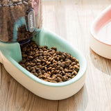 Automatic Pet Drinking Bowl and Feeder Cat Bowls & Fountains Pet Clever 