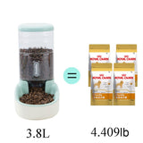 Automatic Pet Drinking Bowl and Feeder Cat Bowls & Fountains Pet Clever 