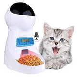 Automatic Pet Food Feeder With Voice Recording Dog Bowls & Feeders Pet Clever 