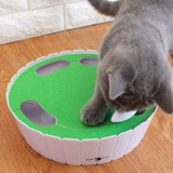 Automatic Rotating Cat Play Teaser Plate Cat Toys Pet Clever 
