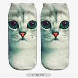 Big Eyes Cat Ankle Socks Cat Design Accessories Pet Clever 14 