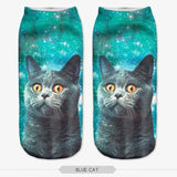 Big Eyes Cat Ankle Socks Cat Design Accessories Pet Clever 15 