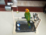 Bird Perches Parrot Playground with Feeder Standing Birds Pet Clever 