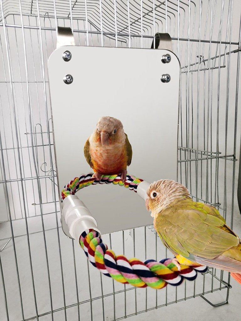 Bird Stand Accessories Standing Birds Pet Clever 