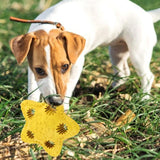 Bite Resistant Pet Bite Toy Toys Pet Clever 