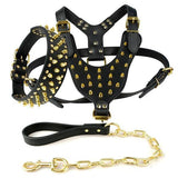 Black Spiked Studded Leather Dog Harness Collar & Leash Set Black Spiked Studded Leather Dog Harness Collar & Leash Set Pet Clever Yellow M 
