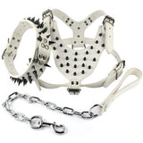 Black Spiked Studded Leather Dog Harness Collar & Leash Set Black Spiked Studded Leather Dog Harness Collar & Leash Set Pet Clever White M 