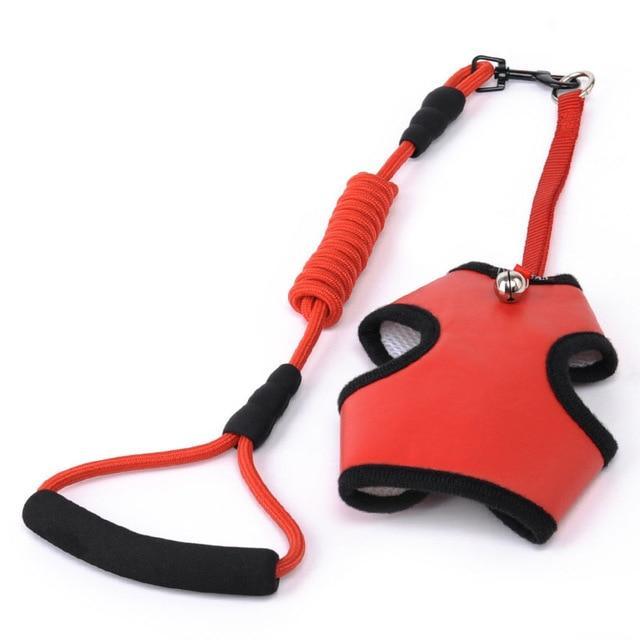 Breathable Pet Harness Vest with Handle Dog Leads & Collars Pet Clever Red S 