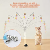 Cat 6 in 1 Hands-Free Natural Bird Feather Ball Toys Cat Pet Clever 