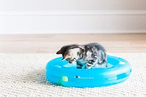 Cat Toy Spinning Ball
