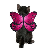 Cat Dog Butterfly Costume Wings for Halloween Party Decoration Dog Clothing Pet Clever Pink 