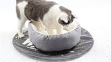 Cat Ear Shaped Pet Bed Dog Beds & Blankets Pet Clever 