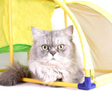 Cat Explore House Cat Beds & Baskets Pet Clever 