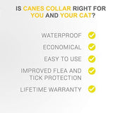 Cat Flea Collar Collars Pet Clever 