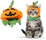 Cat Halloween Pumpkin Costume Dog Dog Clothing Pet Clever 