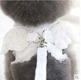 Cat Harness Angel Wings With Lead Leash Artist Collars & Harnesses Pet Clever white XS 