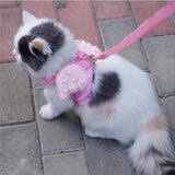 Cat Harness Angel Wings With Lead Leash Artist Collars & Harnesses Pet Clever 