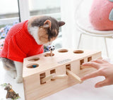 Cat Interactive Catch Play Toy Cat Toys Pet Clever 