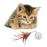 Cat Interactive Flashing Magic Ball Cat Pet Clever 