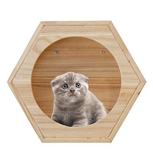 Cat Shelves Cat Pet Clever 