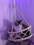 Cat Swing Cat Hammock Cat Beds & Baskets Pet Clever 