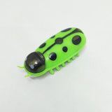Catbug Toy Cat Toys Pet Clever Green Ladybird Light 
