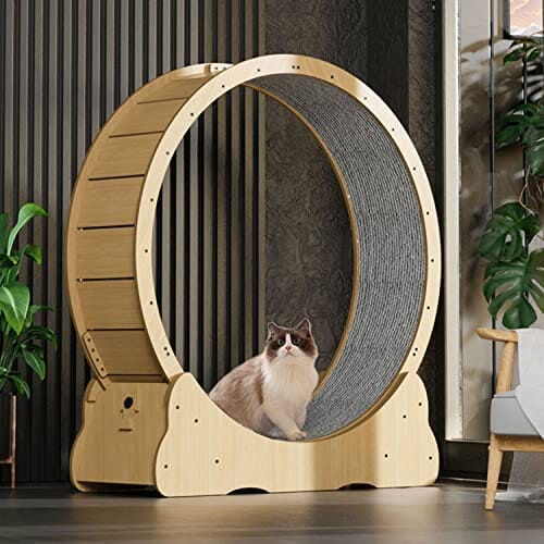 Cats Loss Weight Device Pet Clever